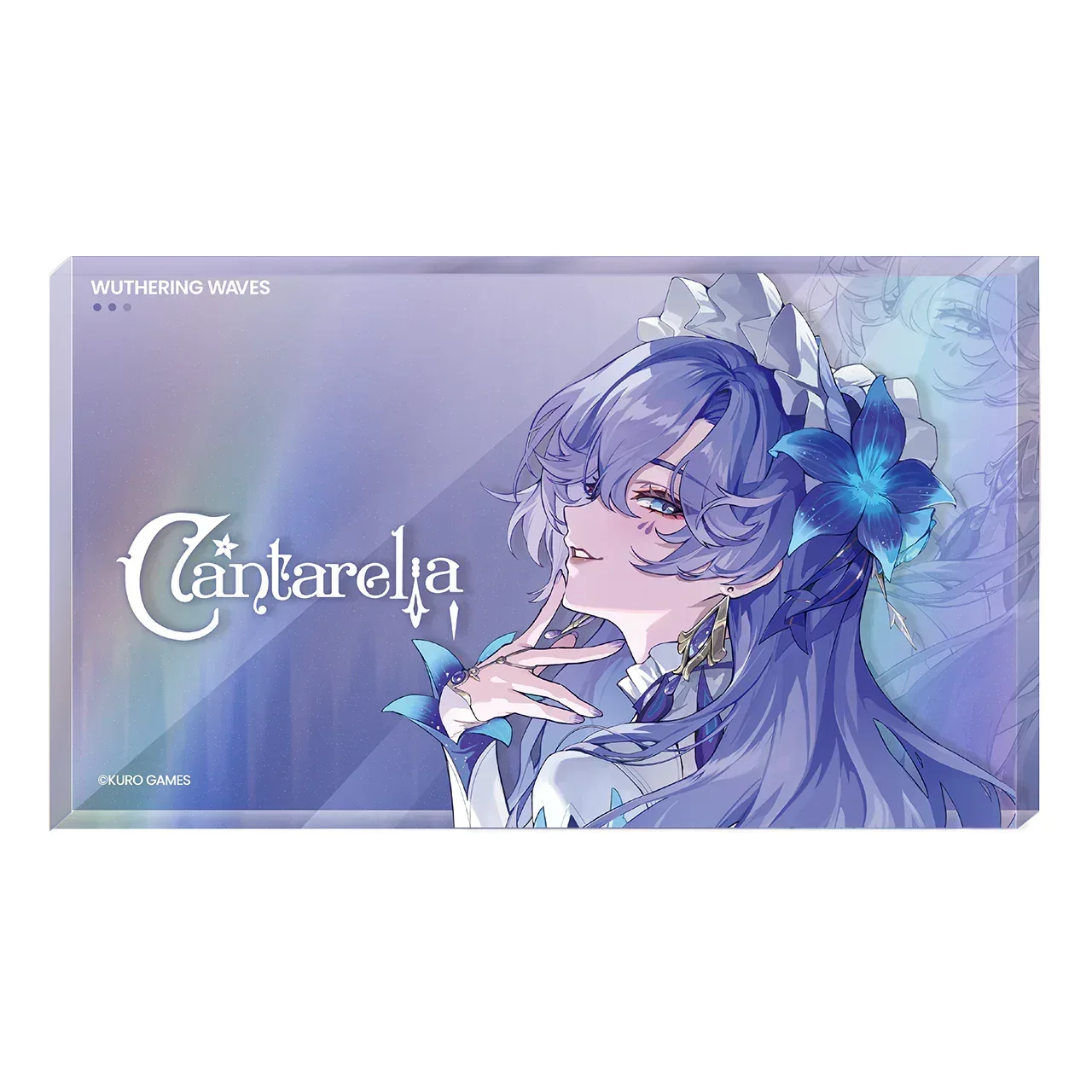 Wuthering Waves Resonator Theme Avatar Acrylic Block Vol.2 - Image 7