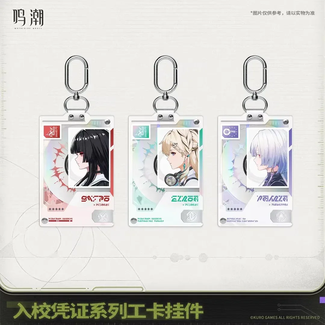 Wuthering Waves School Entry Pass Series ID Keychain
